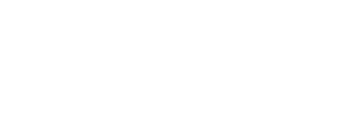 AnyConv.com__Logo sanmarq 013